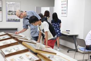 京都北山やままゆ塾「ミニ昆虫展」