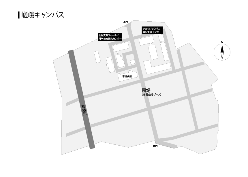 嵯峨キャンパスマップ