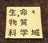 seimei