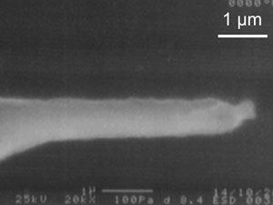 sessakukakou_jushou_02