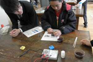 「ハーブティーで作る太陽電池」①