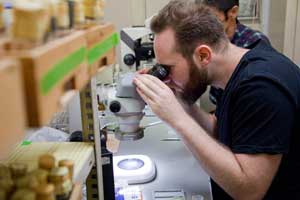 ショウジョウバエを顕微鏡で観察する
フランク・コークマン氏
