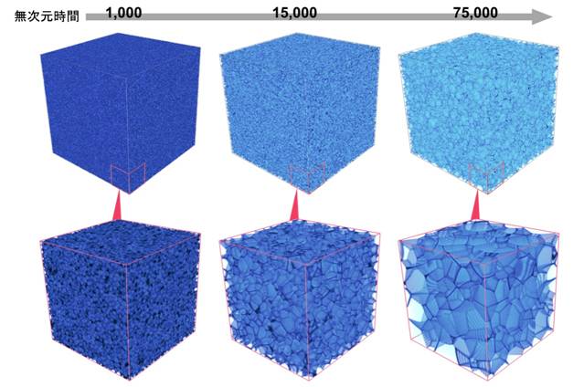 大規模理想粒成長シミュレーションのスナップショット。界面で区切られた多数のセル（結晶粒）の競合成長が再現されている。赤枠内は領域の一部の拡大図を示す。
