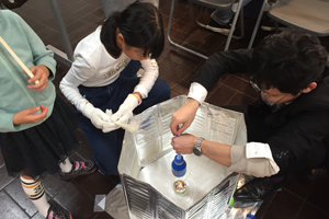 スクロースナノファイバーってなに？～手作りわたがし機をつくろう～