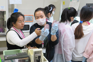 バイオグループ　実習の様子