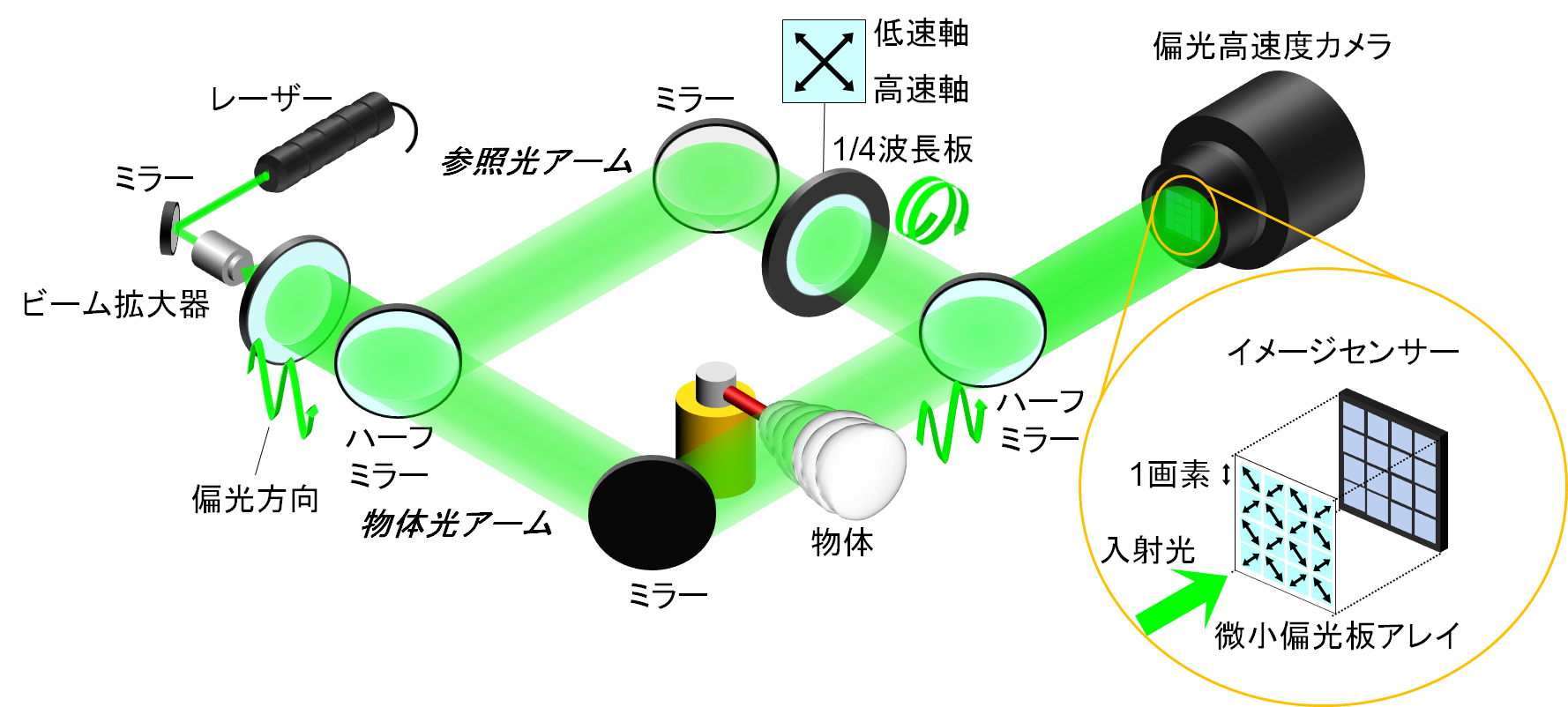 注目研究の紹介 2020年5月 - 京都工芸繊維大学