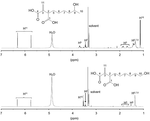 図5．（上）9-HHIAと（下）10-HHIAの1H NMR解析