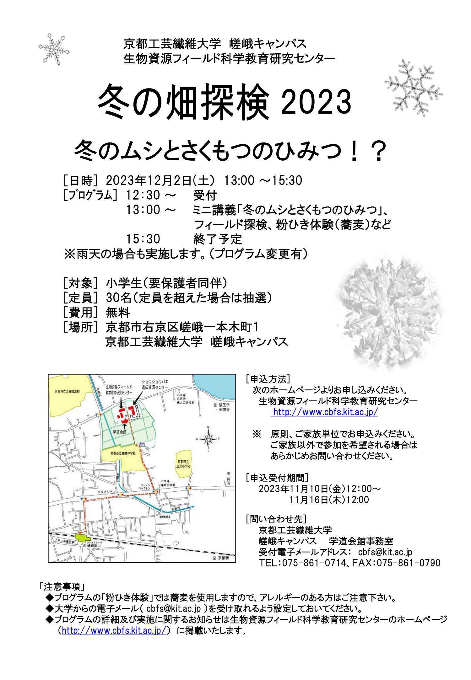 チラシ
