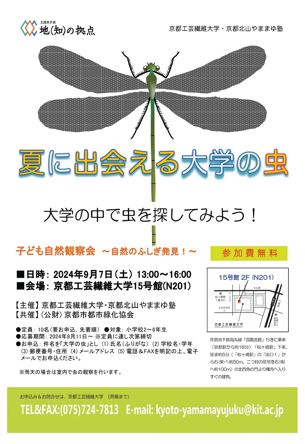 大学の虫