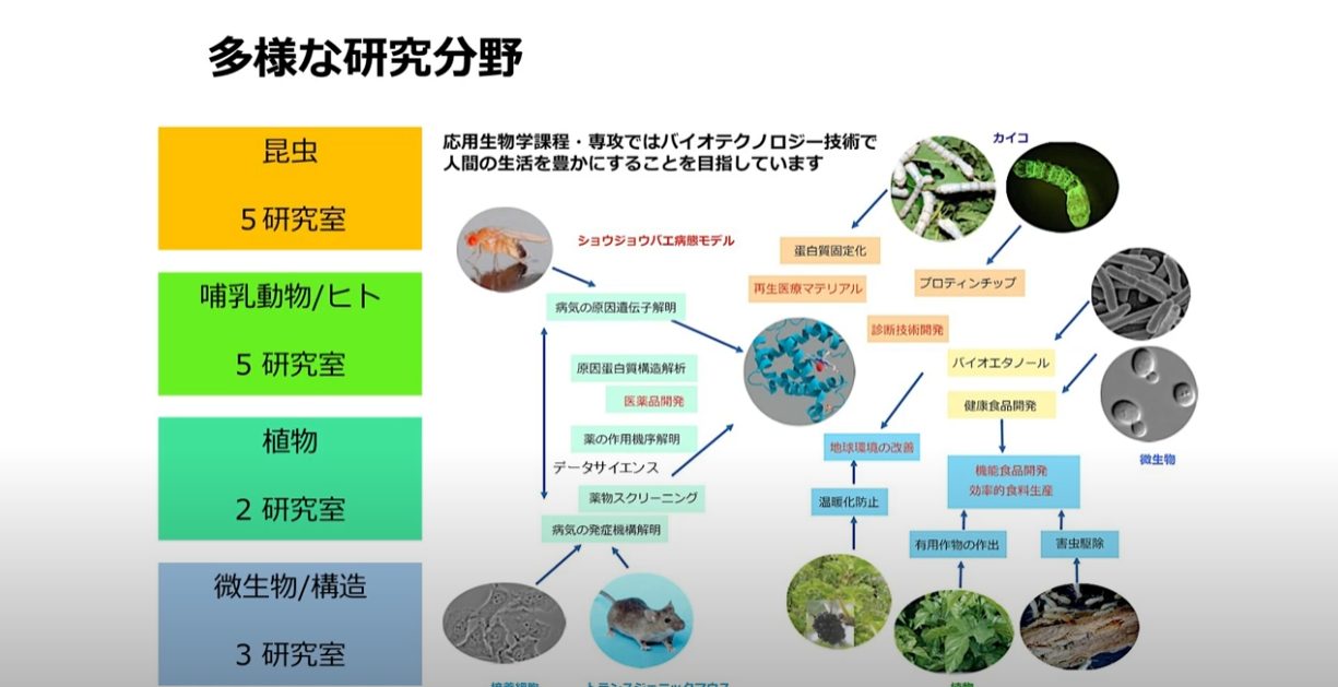 応用生物学課程