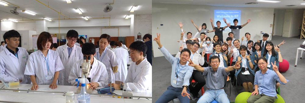 １つ目のセクション画像