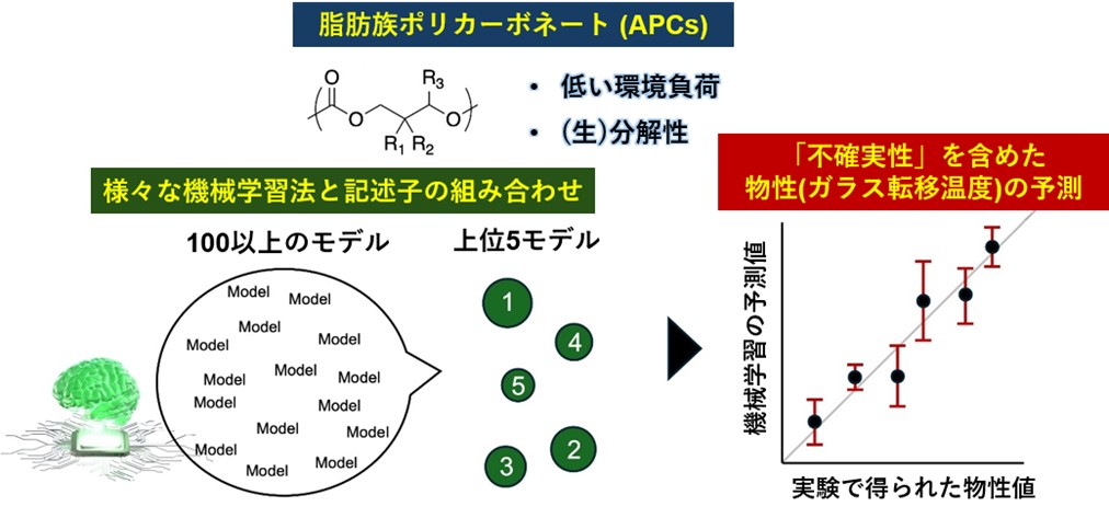 アンサンブル機械学習によって生分解性ポリマーの物性を予測 ―不確実性の可視化によりカーボンニュートラルと資源循環に貢献する新材料開発を加速―