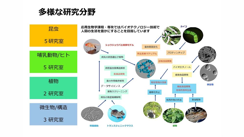 応用生物学課程